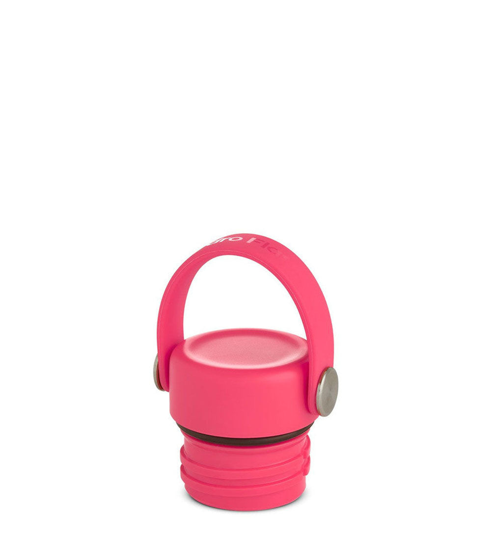 Watermelon hydro hot sale flask